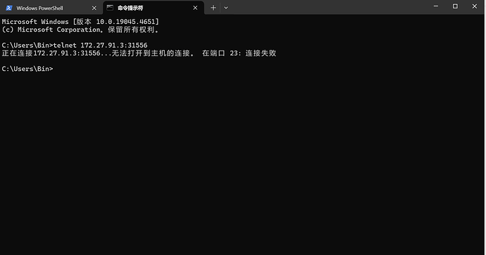 屏幕截图 2024-07-31 225324