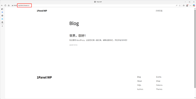 verify-dns-record.png|100%x100%