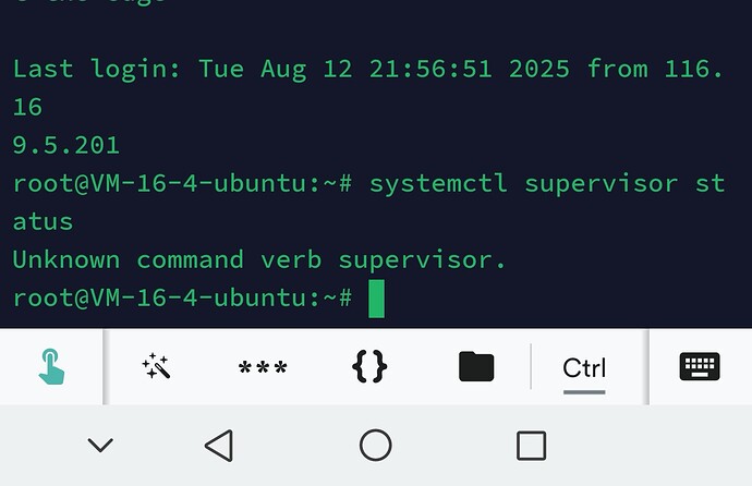 Screenshot_20250814_154921_com.server.auditor.ssh.client_edit_2086559004594109