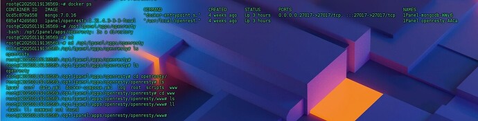 微信截图_20250220163531