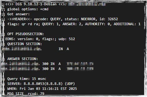 使用 dig 命令验证 DNS 解析.png